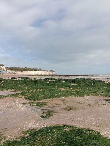 Stone Bay - Visual