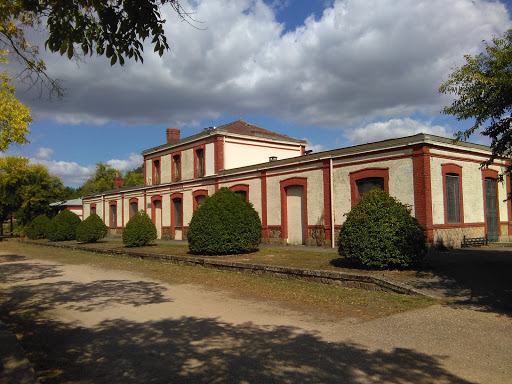 École Tané