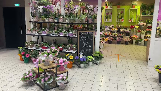 Heures d'ouverture de Fleurs Du Midi Sarl