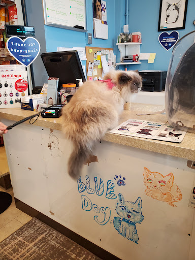 Blue Dog Pet Shop - Thumbnail
