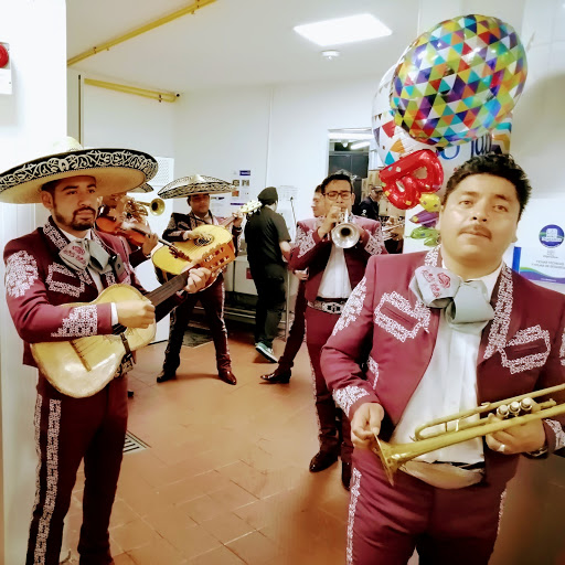 Mariachi Fiesta Poblana