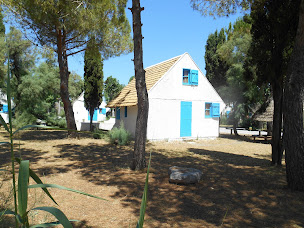 Photo n°8 de LE CAMARGUAIS à Lattes (Agence de location de mobile homes)