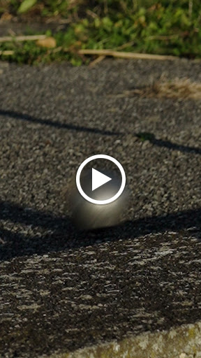Photo de SCORE PETANQUE à Vaulnaveys-le-Haut (38410)