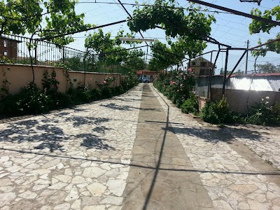 Photos of Shkolla 9-vje&ccedil;are Dod&euml; Geg&euml; Jaku