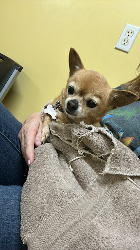 Animal's Choice Veterinary Clinic - Thumbnail