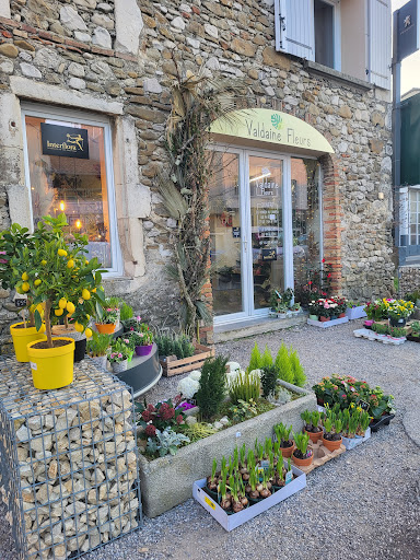 Valdaine Fleurs, Cléon d'Andran - Thumbnail