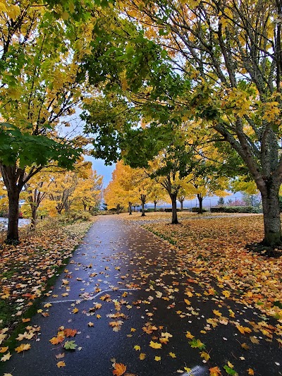 Aubrey Davis Park