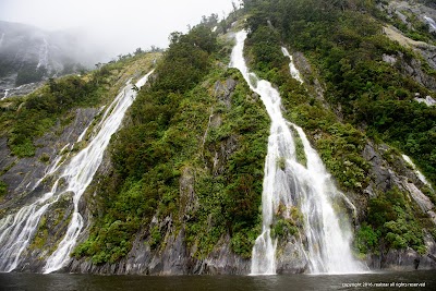 Photos of Milford Sound