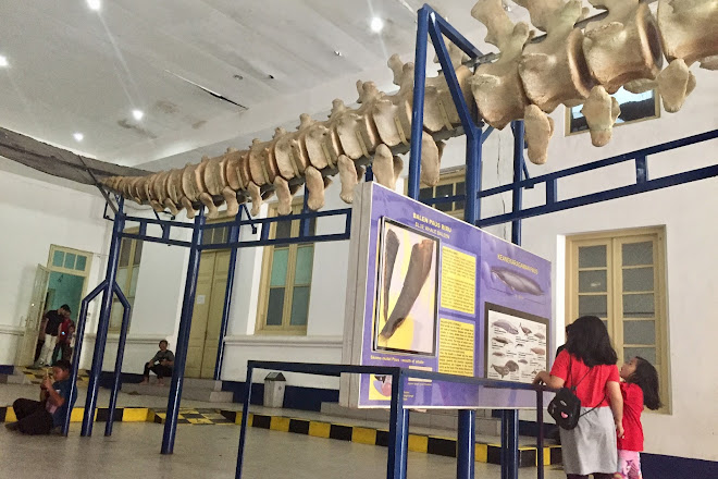 Museum Zoologi, Bogor, Indonesia