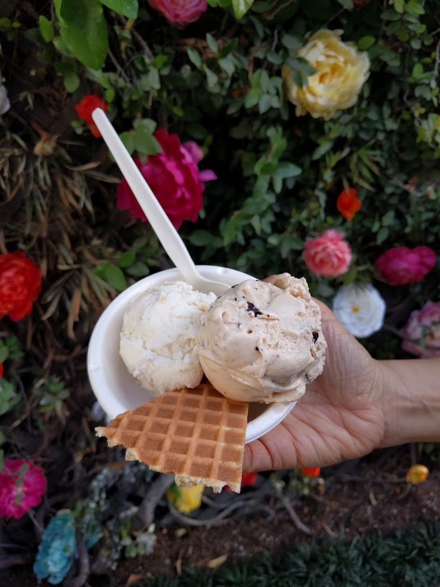 Jeni's Splendid Ice Creams