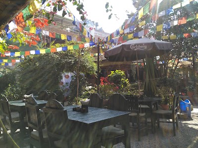 Photos of Delima Garden Cafe