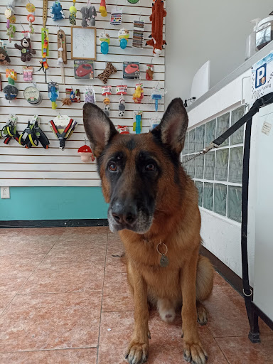 Healthy Pet Veterinaria