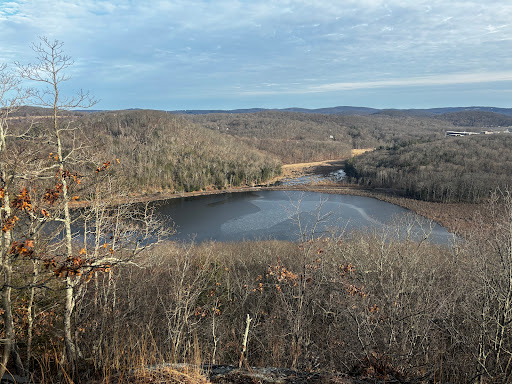 Ice Pond conservation area - Thumbnail