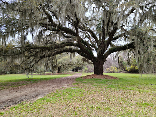 Johns Island County Park - Mullet Hall - United States