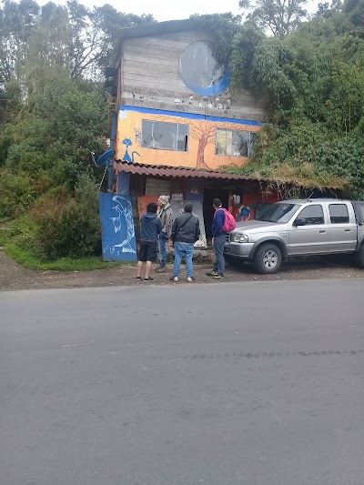 Photos of Cafe De Los Gatos