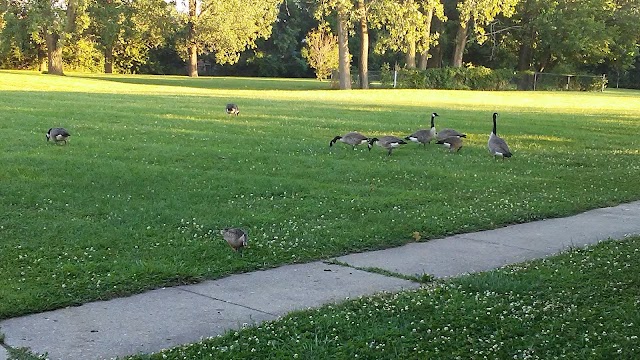 Red Carpet Inn & Fanta Suites Hotel