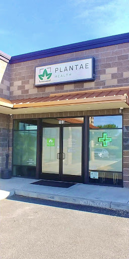 Plantae - Visual