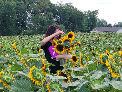 Beasley's Orchard Gallery - United States
