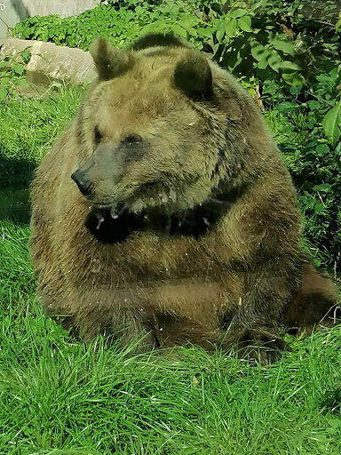 Bad Kösen Zoo