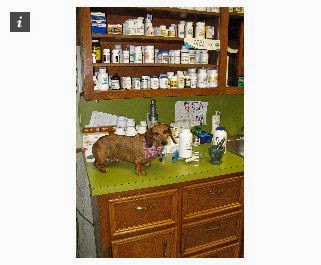 Walnut Plaza Veterinary Hospital - Thumbnail