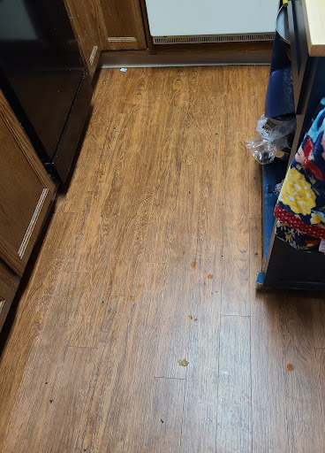 Ecozyme Carpet Clean - Thumbnail