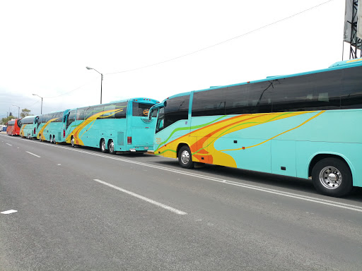 Servicios Turismo Campiran