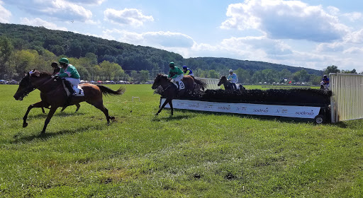 Shawan Downs - Visual