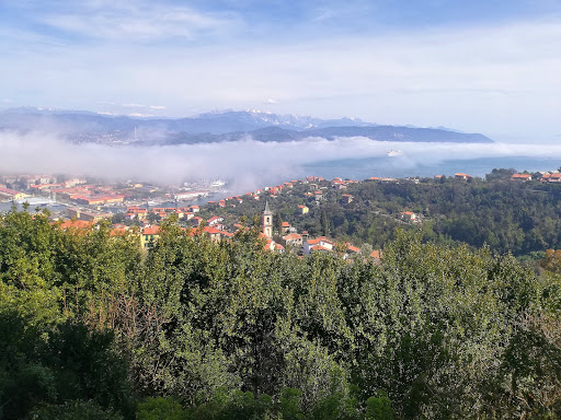 Litoranea - Visual