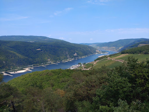 Streifzug durch den Niederwald - Thumbnail