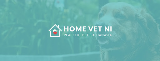 Home Vet NI