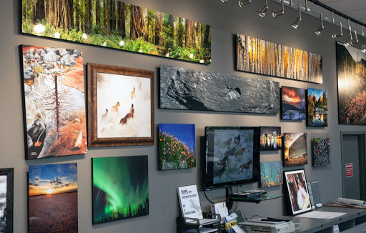 TCR Photo Imaging Center - Thumbnail