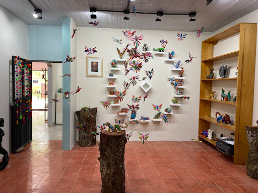 CASACOOPAL - Visual