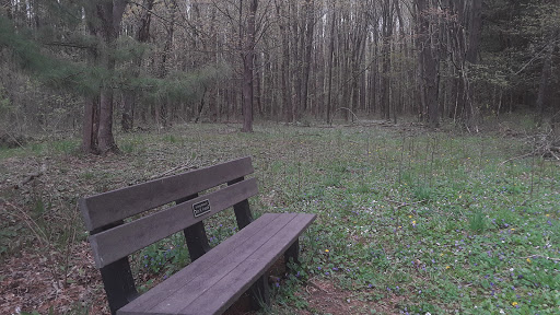 Dowagiac Woods - Thumbnail