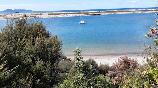 Mangawhai Heads Beach Car Park - Thumbnail