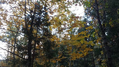 Ripple Creek Cabins