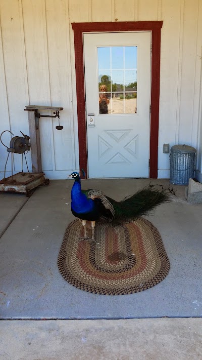 Photos of Animal Kingdom Veterinary Hospital