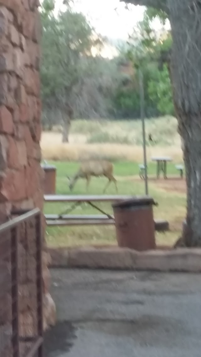 Zion Nature Center