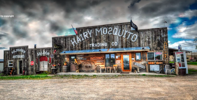 Hairy Mosquito Trading Company