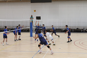 Photo n°1 de Le Havre Estuaire Volley Ball à Le Havre (Club de volley-ball)