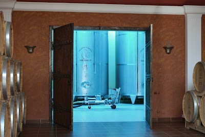 Photos of Chateau Cojusna