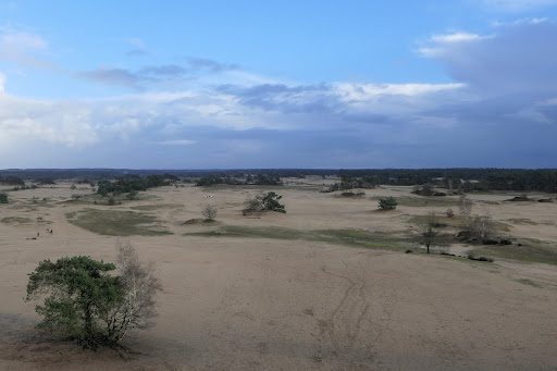 Het Kootwijkerzand