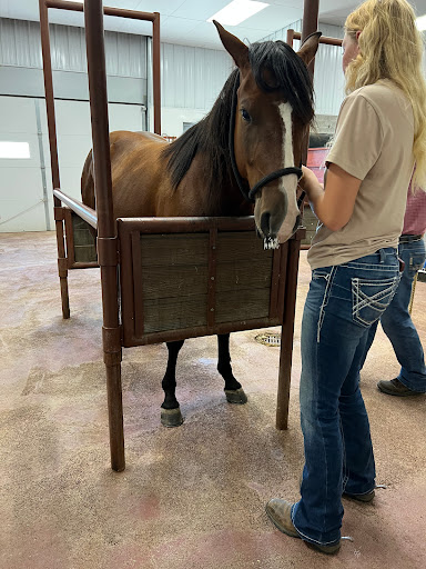 High Plains Veterinary Clinic - Thumbnail