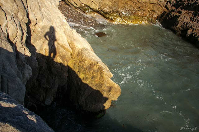 Leo Carrillo State Park