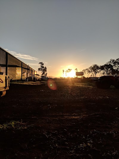 Photos of Costa Pack Shed Walkamin