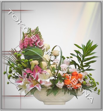 Toko Bunga Sabana florist jakarta online, Author: Toko Bunga Sabana florist jakarta online