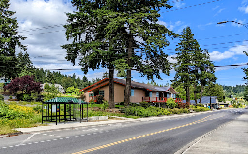 Shelton Timberland Library (William G. Reed Public Library) - Thumbnail