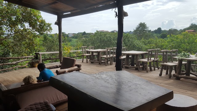 Tree Top Ecolodge