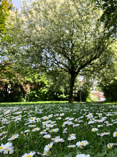 Spielplatz Kanalstrasse - Thumbnail