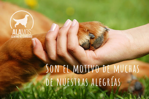Centro Veterinario Álamos