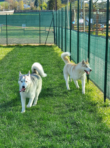 Le Oche Dog Park ASD - Thumbnail